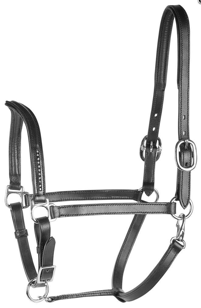 Leather head collar with v-shaped noseband
